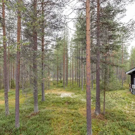 Alppirinne Incl Sauna, Wifi, Pets Allowed With A Separate Fee